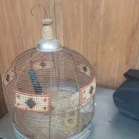 سهره خاکی بخون