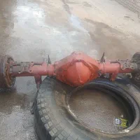 دیفرانسیل خاور اصلی در حد نو و شکار