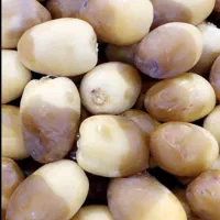 خرما صادراتی لوکس