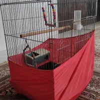 قفس عروس هلندی بزرگ