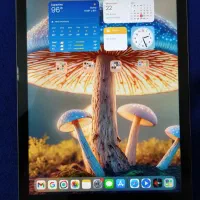ipad air ۲|تبلت|تهران, شهرک شهید باقری|دیوار