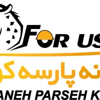 نقاش صنعتی و خودرو حرفه ای