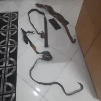 هیکلی دو بند