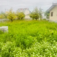 ۲۰۵ زمین مسکونی سند دار شیرود