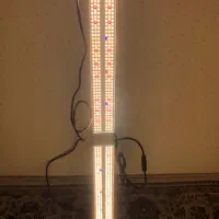 لامپ رشد گیاه مارس هادرو