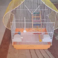 قفس پرنده