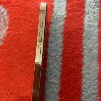 12pro max رنگ گلد|موبایل|بوشهر, |دیوار