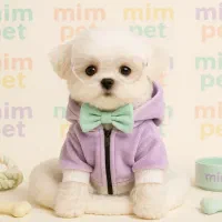 وسایل|لوازم جانبی حیوانات|تهران, فردوسی|دیوار