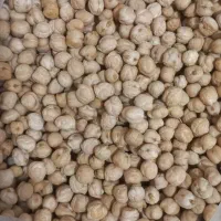 نخود ابگوشتی