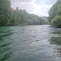 زمین-بنه-گز-باغ-خلیفه