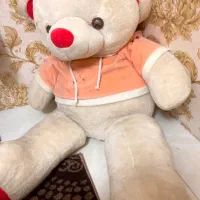 عروسک خرسی بزرگ
