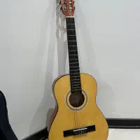 گیتار گودمن C36N
