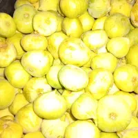 انجیر تازه سیرج