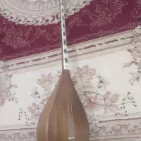 دوتار نوید مقدمی