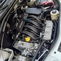 تندر بی رنگ دانه نشان