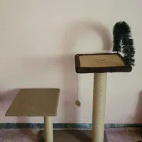 اسکرچر گربه موزر حیوانات ظرف خاک گربه قفس پرنده