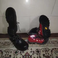 کف شد