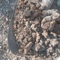 خاک روی باعیار8 درصد روی