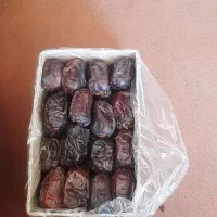 خرمای مضافتی