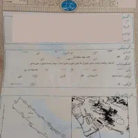 زمین-با-سند-تک-برگ