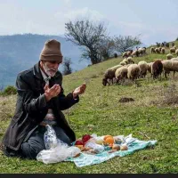نگهداری از گوسفندا
