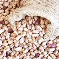 نخوددرجه یک دانه درشت لوبیاچیتی تمیزدرجه یک