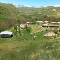 فروش عدس دیم درجه یک امسال