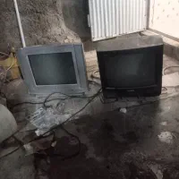 تلویزیون