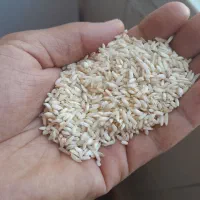 برنج معطر هاشمی