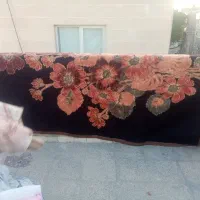 پتوسالم