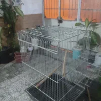 قفس کاسکو