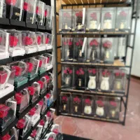 کارشناس پشتیبانی فروش مجازی