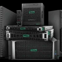 فروش سرور / سپیدار و هلو همکاران . دشت