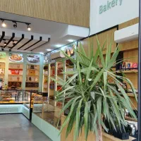 باریستا کار