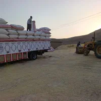 کاه گندم