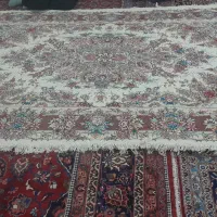 فرش|فرش|آذرشهر, |دیوار