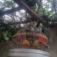 سهره خاکی