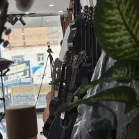 مجموعه موسیقی سل لا، آلات موسیقی