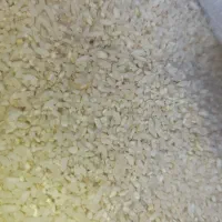 خورده برنج چمپا برنج دوقل