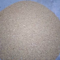 بذریونجه ماران