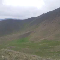 درخواست سفر