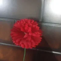 شاعر