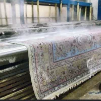 قالی شویی .اطلسی گاز دلگشا