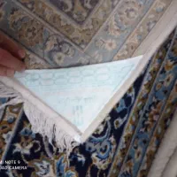 فرش 12متری