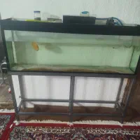 اکواریوم بزرگ تاپ فیلتر
