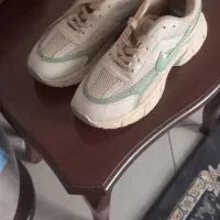 کیف و کفش