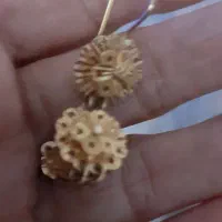 گوشواره بخدا قسطی خریدم