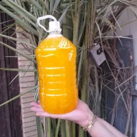 شوینده ها
