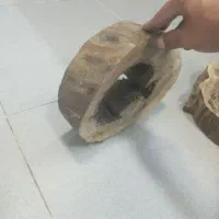 چوب گردو