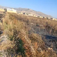 فروش زمین با ابعاد عالی عرض ۱۲ درب حیاط جنوبی